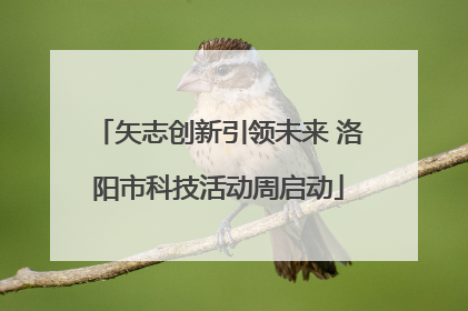 矢志创新引领未来 洛阳市科技活动周启动